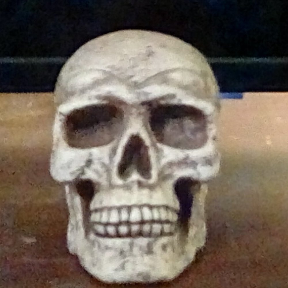 Removable Skull Cap SKULL/Day of the Dead/Halloween